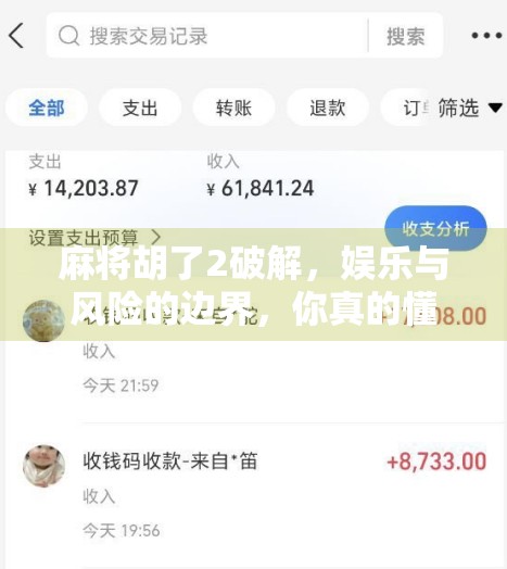 麻将胡了2破解,娱乐与风险的边界,你真的懂吗?