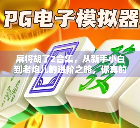 麻将胡了2合集，从新手小白到老炮儿的进阶之路，你真的看懂了吗？