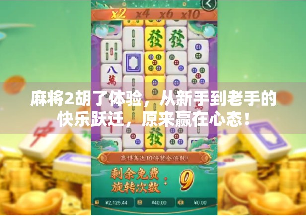 麻将2胡了体验，从新手到老手的快乐跃迁，原来赢在心态！